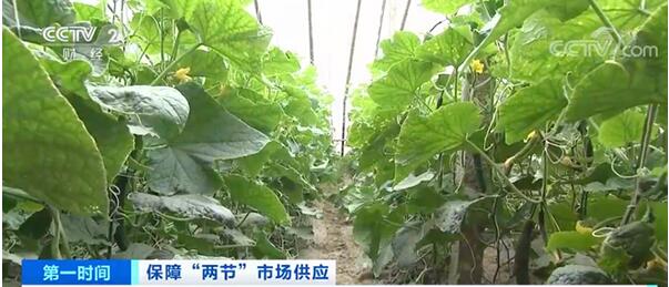 農(nóng)產(chǎn)品配送了解到農(nóng)業(yè)農(nóng)村部：全國菜價呈下降趨勢